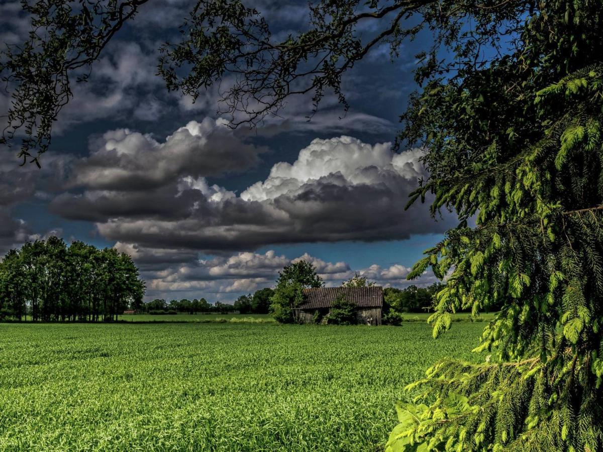 Staying In A Thatched Barn With Box Bed Beautiful View Region Achterhoek Geesteren  Eksteriør bilde
