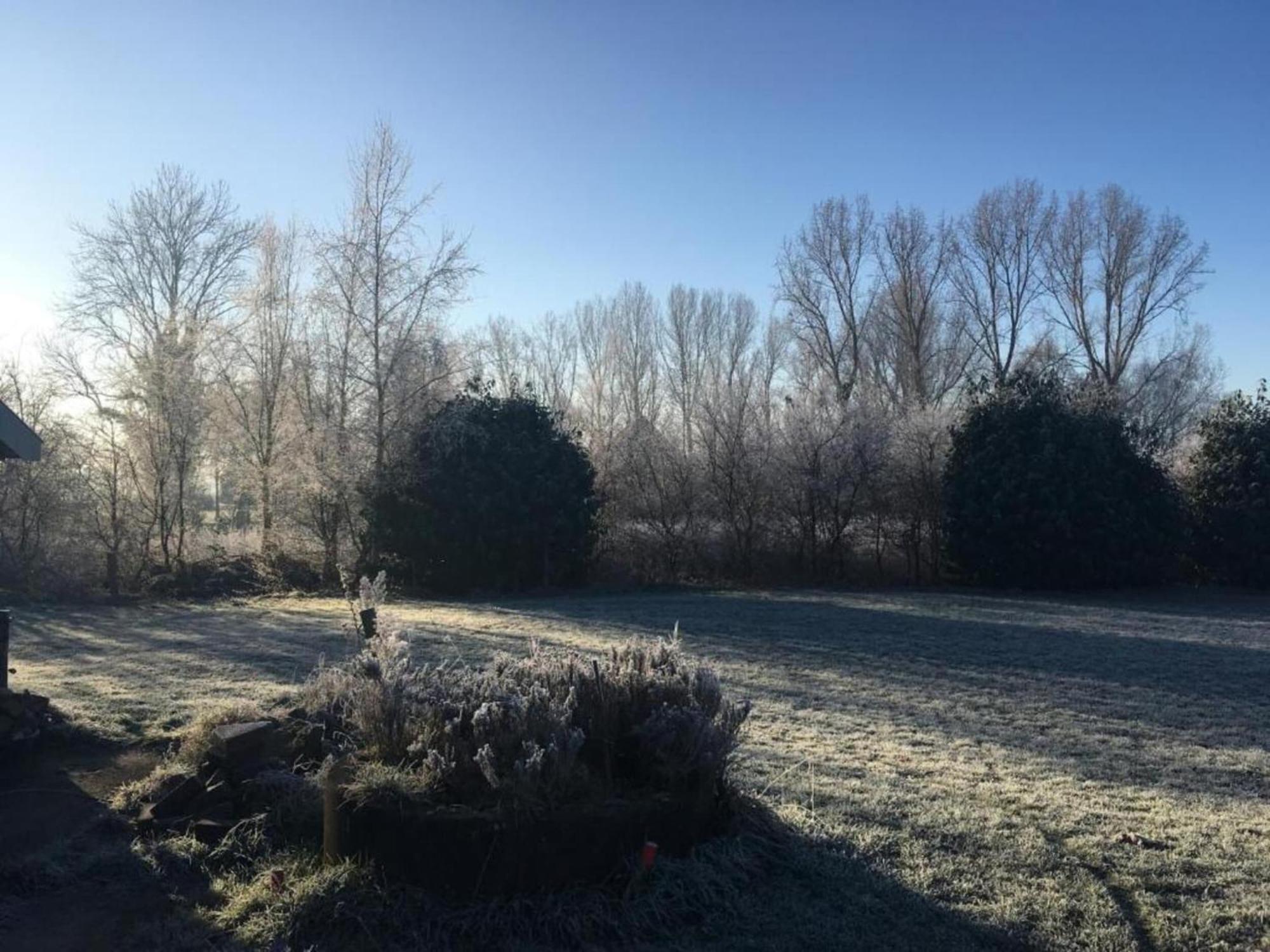 Staying In A Thatched Barn With Box Bed Beautiful View Region Achterhoek Geesteren  Eksteriør bilde